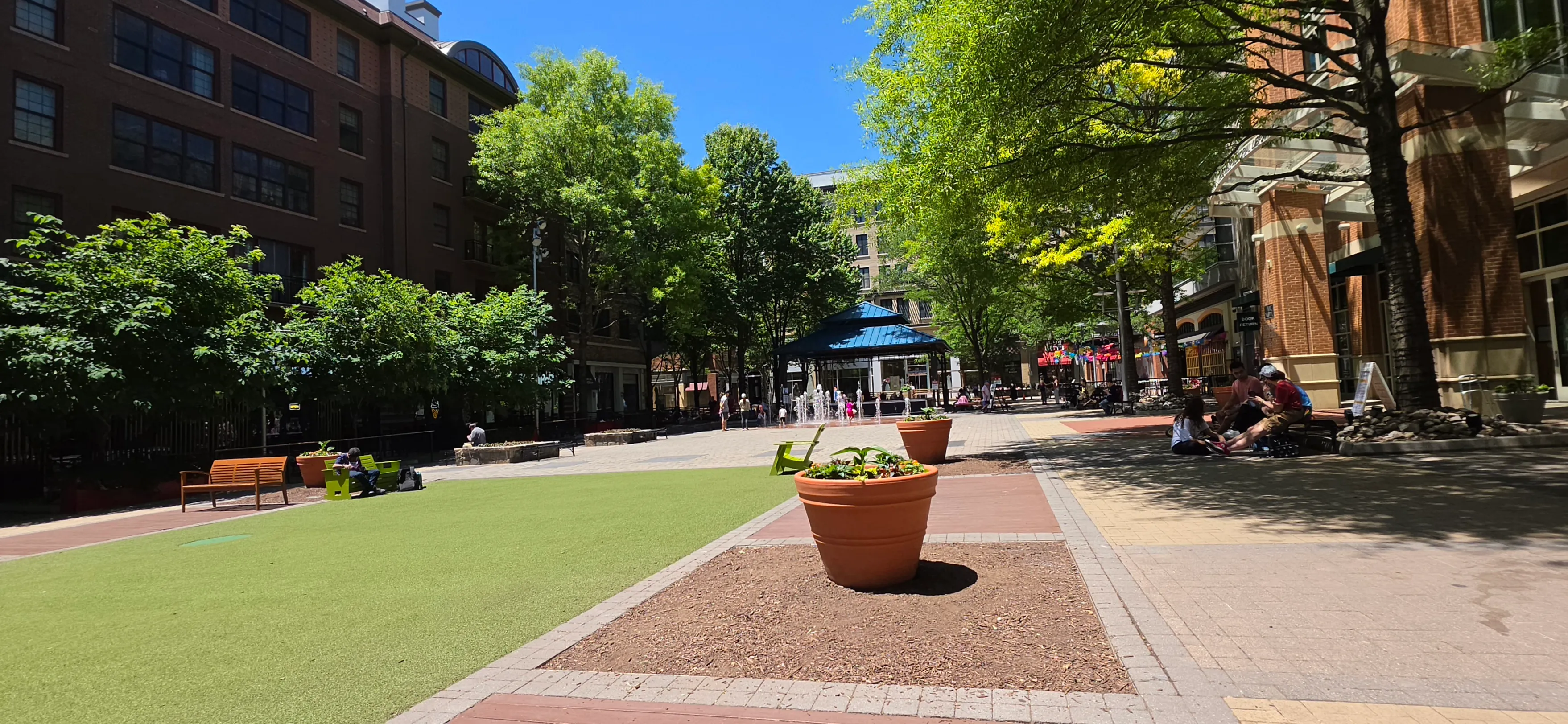 A sunlit campus plaza