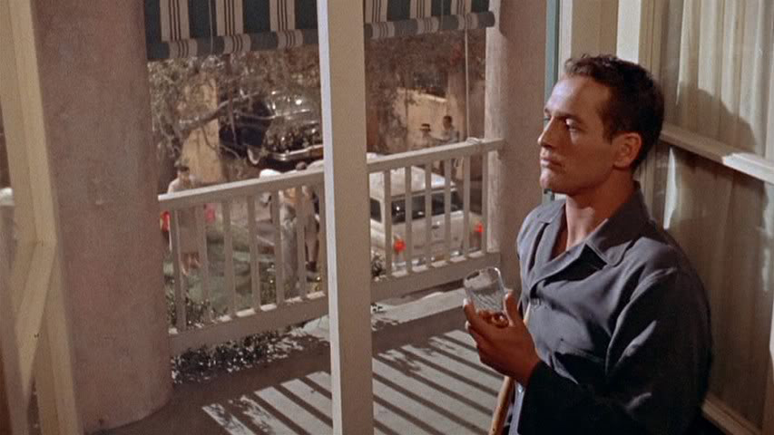 catonahottinroof2