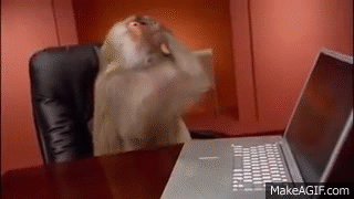 giphy (3)